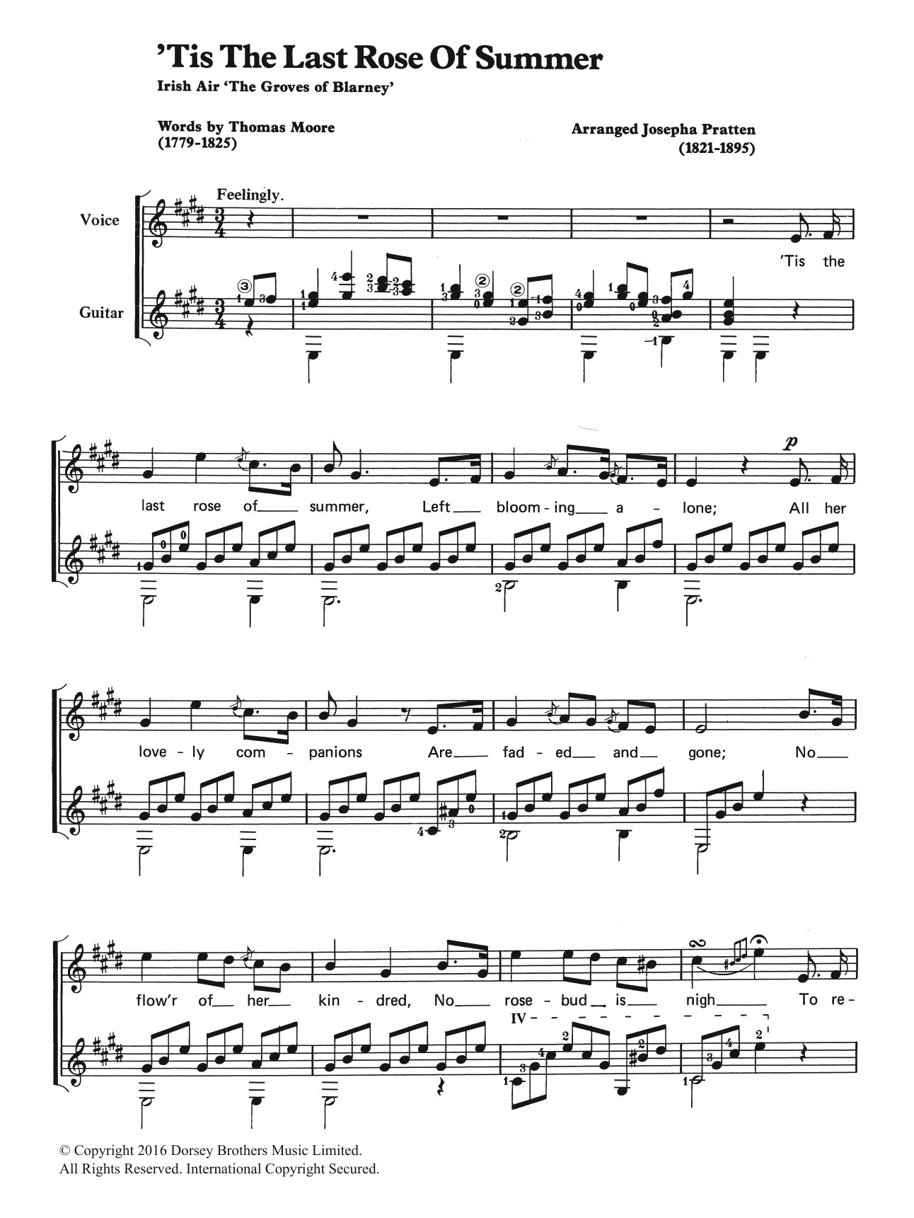 Traditional 'Tis The Last Rose Of Summer sheet music notes printable PDF score
