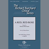 Download or print A Red, Red Rose Sheet Music Printable PDF 11-page score for Concert / arranged SATB Choir SKU: 431029.