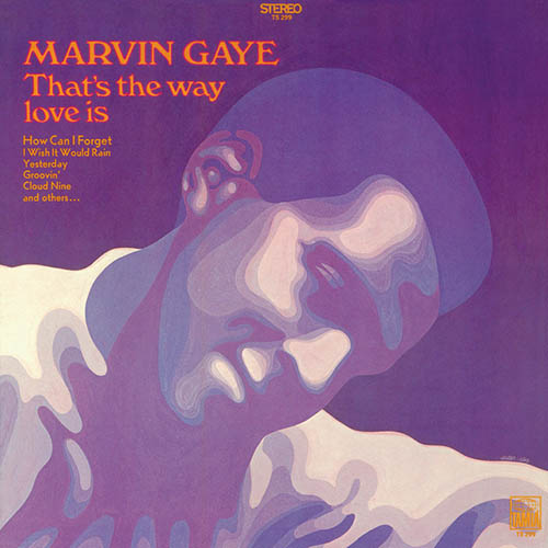 Marvin Gaye image and pictorial