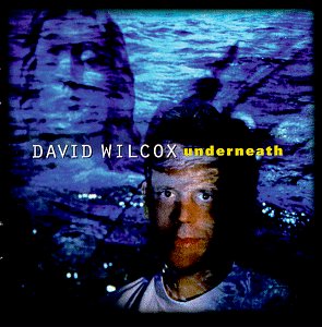 David Wilcox image and pictorial