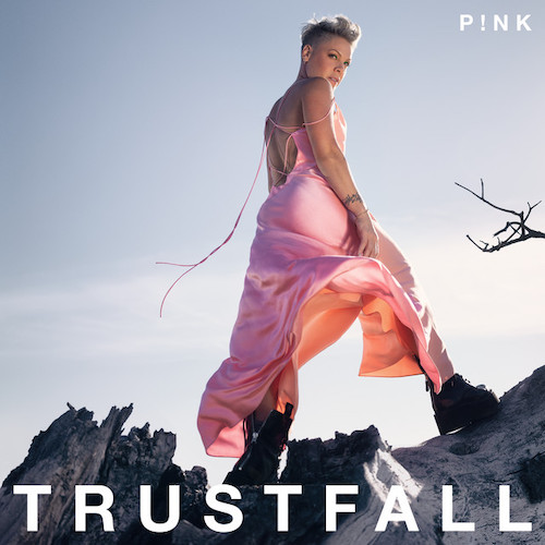 P!nk image and pictorial