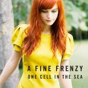 A Fine Frenzy image and pictorial