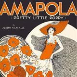 Download or print Amapola (Pretty Little Poppy) Sheet Music Printable PDF 3-page score for Standards / arranged Accordion SKU: 158005.