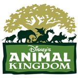Download or print Animal Kingdom - Tree Of Life Theme Sheet Music Printable PDF 4-page score for Children / arranged Piano, Vocal & Guitar (Right-Hand Melody) SKU: 23674.