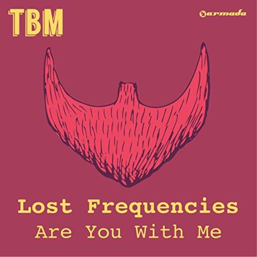 Lost Frequencies image and pictorial