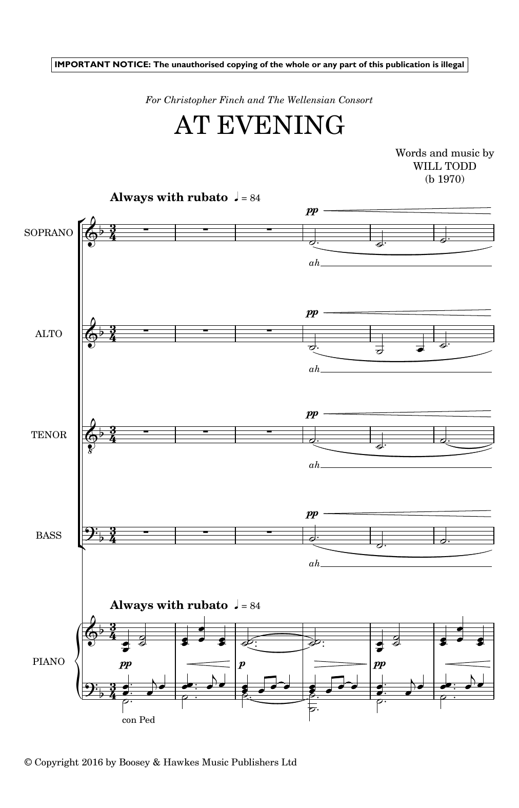 Download Will Todd At Evening Sheet Music
