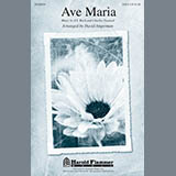 Download or print Ave Maria (arr. David Angerman) Sheet Music Printable PDF 7-page score for Classical / arranged SSA Choir SKU: 93761.