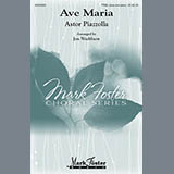 Download or print Ave Maria (arr. Jon Washburn) Sheet Music Printable PDF 13-page score for Concert / arranged TTBB Choir SKU: 161513.