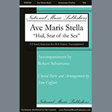 Download or print Ave Maris Stella Sheet Music Printable PDF 7-page score for Concert / arranged SSA Choir SKU: 430915.