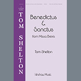 Download or print Benedictus & Sanctus (from Missa Brevis) Sheet Music Printable PDF 15-page score for Concert / arranged SSAA Choir SKU: 1345480.