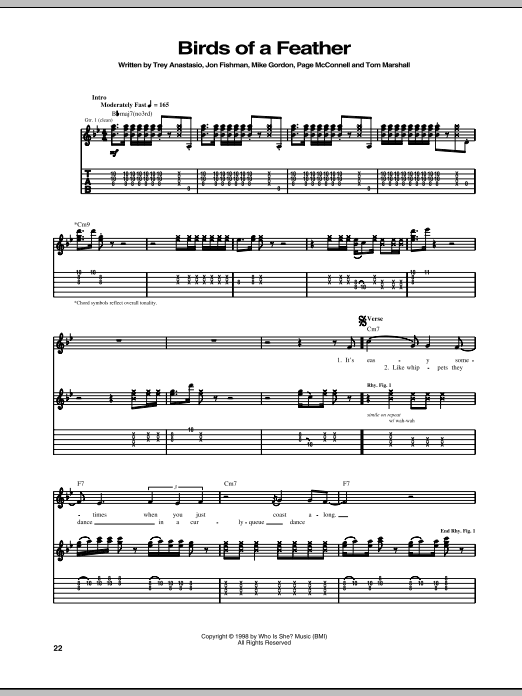 Download Phish Birds Of A Feather Sheet Music