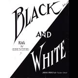 Download or print Black And White Rag Sheet Music Printable PDF 8-page score for Standards / arranged Piano Solo SKU: 40411.