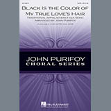 Download or print Black Is The Color of My True Love's Hair (arr. John Purifoy) Sheet Music Printable PDF 4-page score for Concert / arranged SAB Choir SKU: 96832.