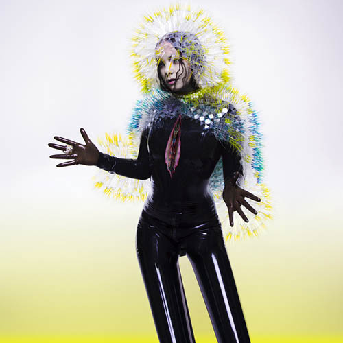 Bjork image and pictorial