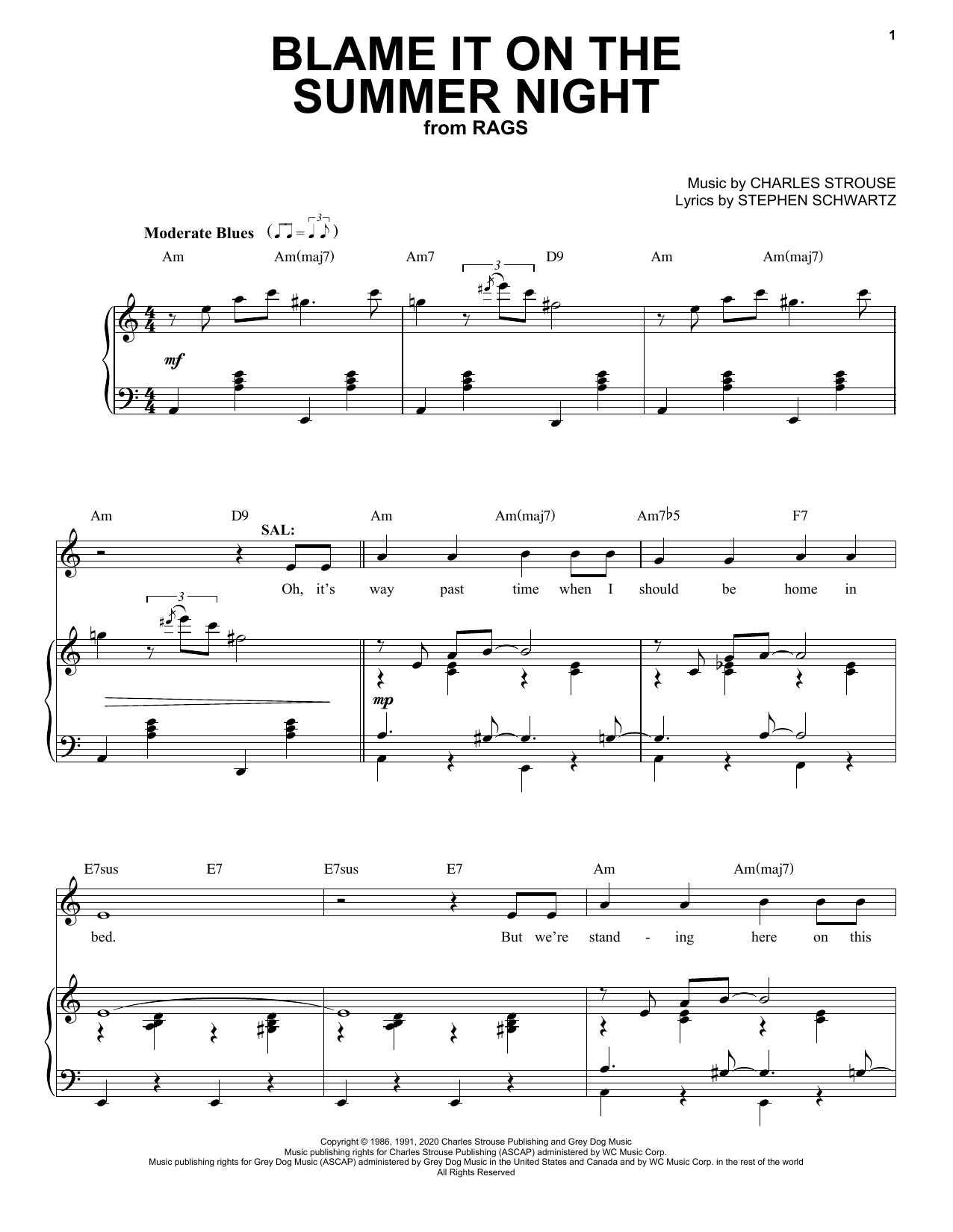 Download Stephen Schwartz & Charles Strouse Blame It On The Summer Night (from Rags Sheet Music