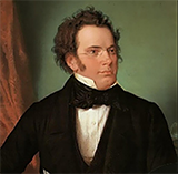 Download Franz Schubert Bliss Sheet Music and Printable PDF Score for Instrumental Solo