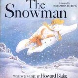 Download or print Building The Snowman (From 'The Snowman') Sheet Music Printable PDF 3-page score for Film/TV / arranged Flute Solo SKU: 104633.