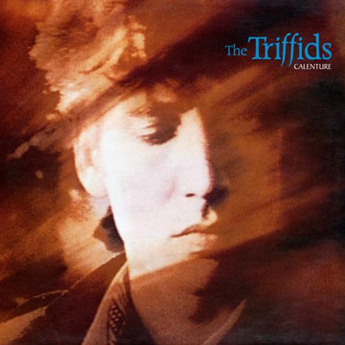 The Triffids image and pictorial