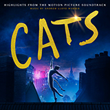 Download or print Bustopher Jones: The Cat About Town (from the Motion Picture Cats) Sheet Music Printable PDF 8-page score for Film/TV / arranged Piano, Vocal & Guitar (Right-Hand Melody) SKU: 434814.