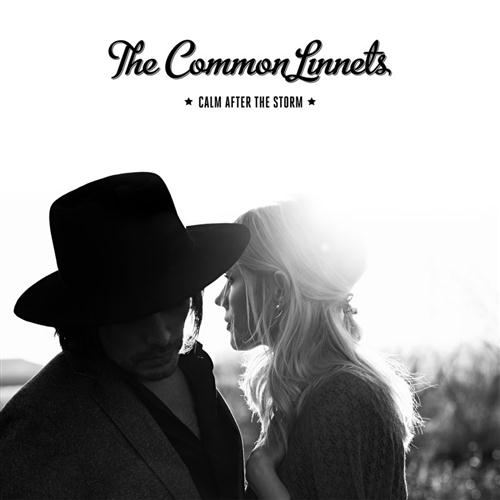 The Common Linnets image and pictorial