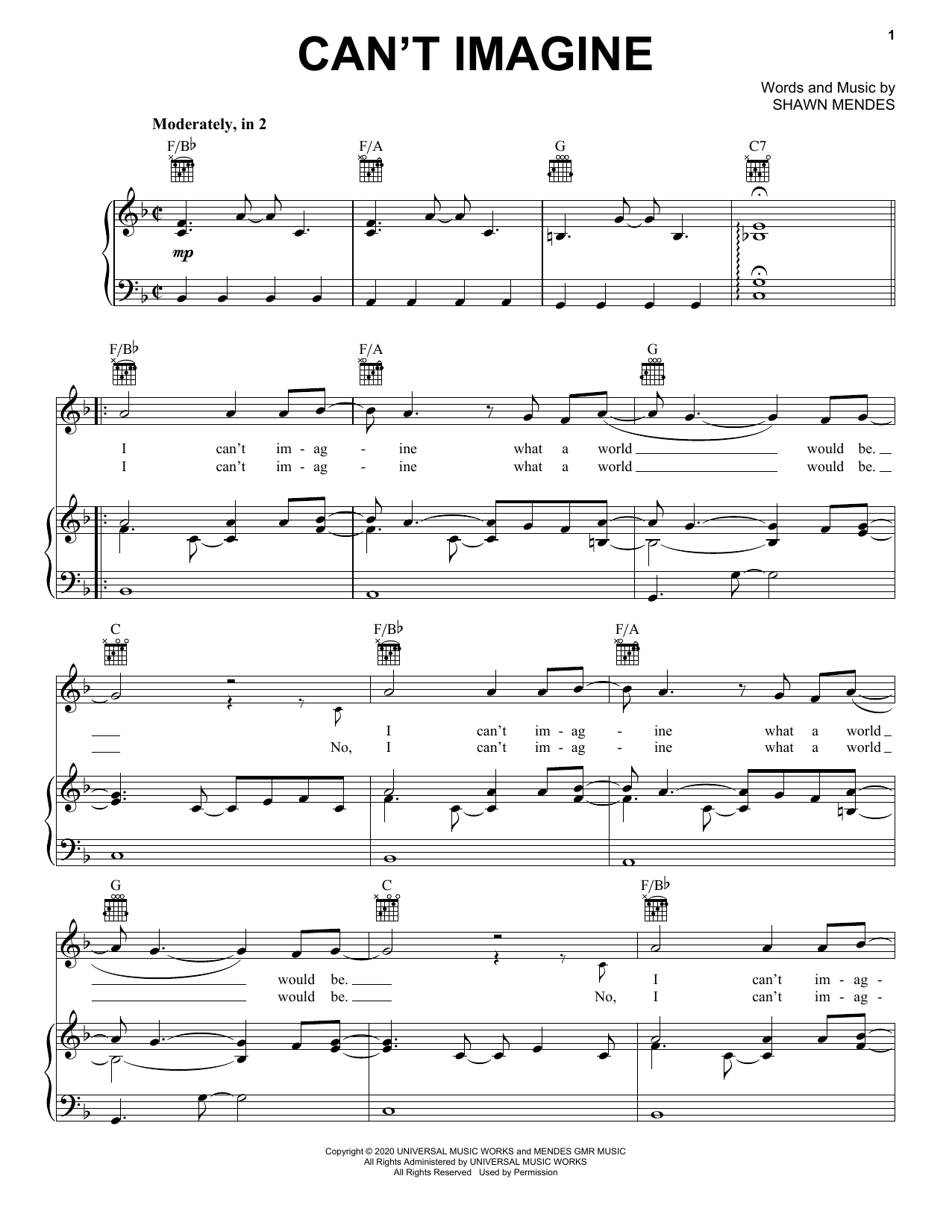 Download Shawn Mendes Can't Imagine Sheet Music