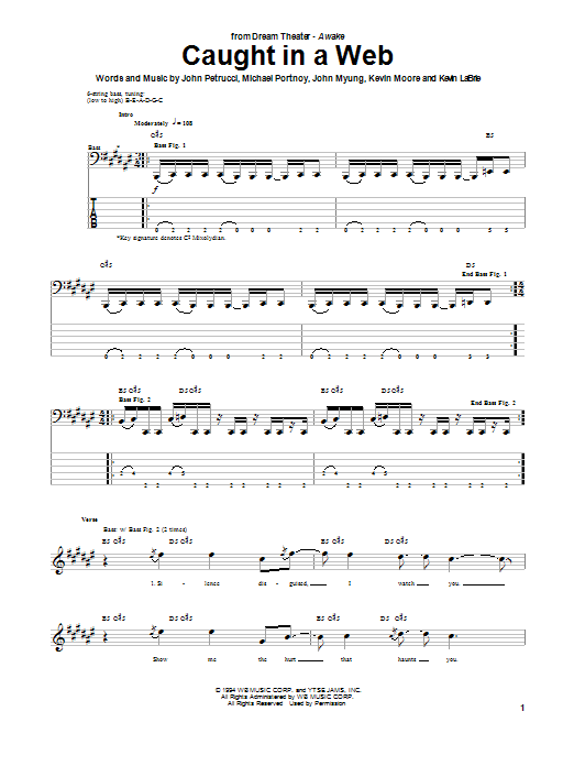 Download Dream Theater Caught In A Web Sheet Music