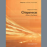 Download or print Chiapanecas (Mexican Clap Dance) - Bass Sheet Music Printable PDF 1-page score for Folk / arranged Orchestra SKU: 271925.