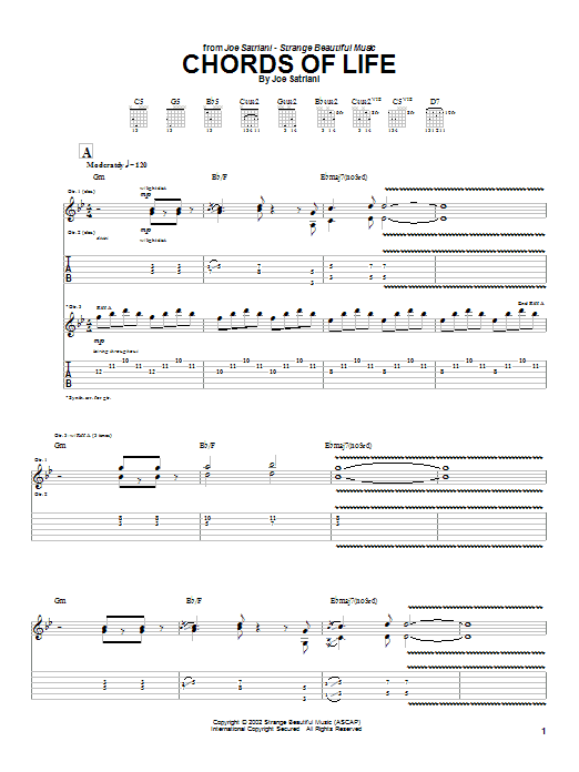 Download Joe Satriani Chords Of Life Sheet Music
