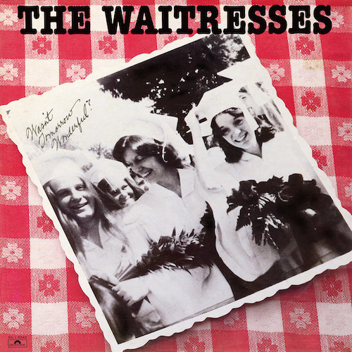 The Waitresses image and pictorial
