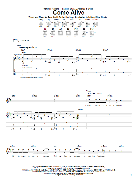 Download Foo Fighters Come Alive Sheet Music