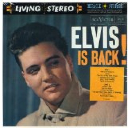 Fame And Fortune Elvis Presley 114414
