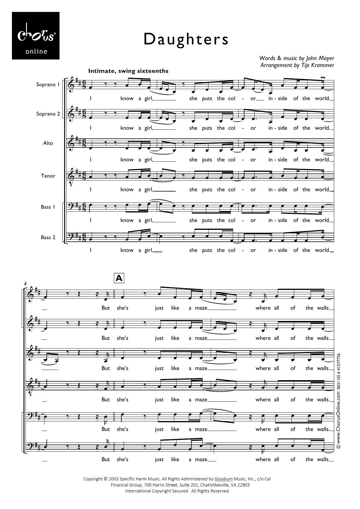 John Mayer Daughters (arr. Tijs Krammer) sheet music notes printable PDF score
