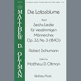 Download or print Die Lotosblume (Ed. Matthew D. Oltman) Sheet Music Printable PDF 6-page score for Concert / arranged TTBB Choir SKU: 424503.
