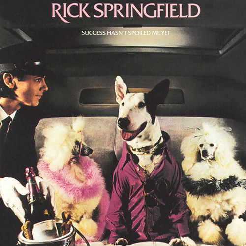Rick Springfield image and pictorial