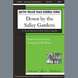 Download or print Down By The Salley Gardens Sheet Music Printable PDF 11-page score for Concert / arranged TTBB Choir SKU: 431035.