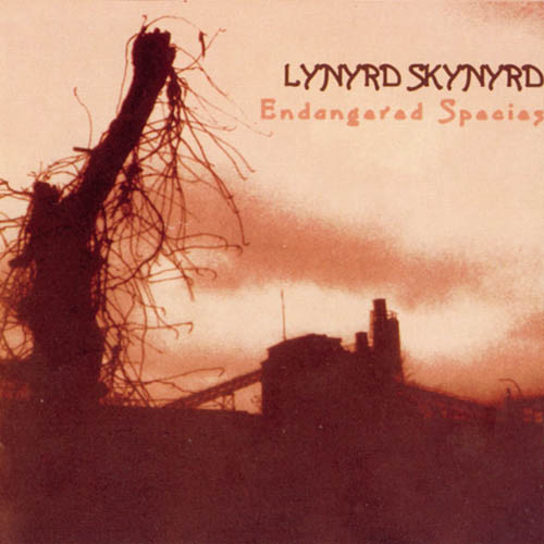 Lynyrd Skynyrd image and pictorial