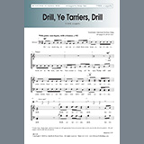 Download or print Drill, Ye Tarriers, Drill Sheet Music Printable PDF 8-page score for Concert / arranged TTBB Choir SKU: 451193.
