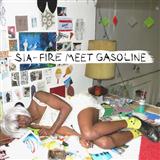 Download Sia Fire Meet Gasoline Sheet Music and Printable PDF Score for Piano, Vocal & Guitar (Right-Hand Melody)