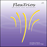 Download or print Flextrios - Beyond The Methods (16 Pieces) - Cello Sheet Music Printable PDF 18-page score for Classical / arranged String Ensemble SKU: 478263.