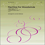 Download or print FlexTrios For Woodwinds (playable by any three woodwind instruments) - Bb Instruments Sheet Music Printable PDF 9-page score for Classical / arranged Woodwind Ensemble SKU: 368320.