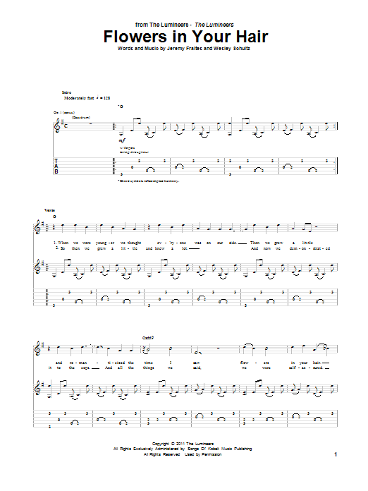 Download The Lumineers Flowers In Your Hair Sheet Music