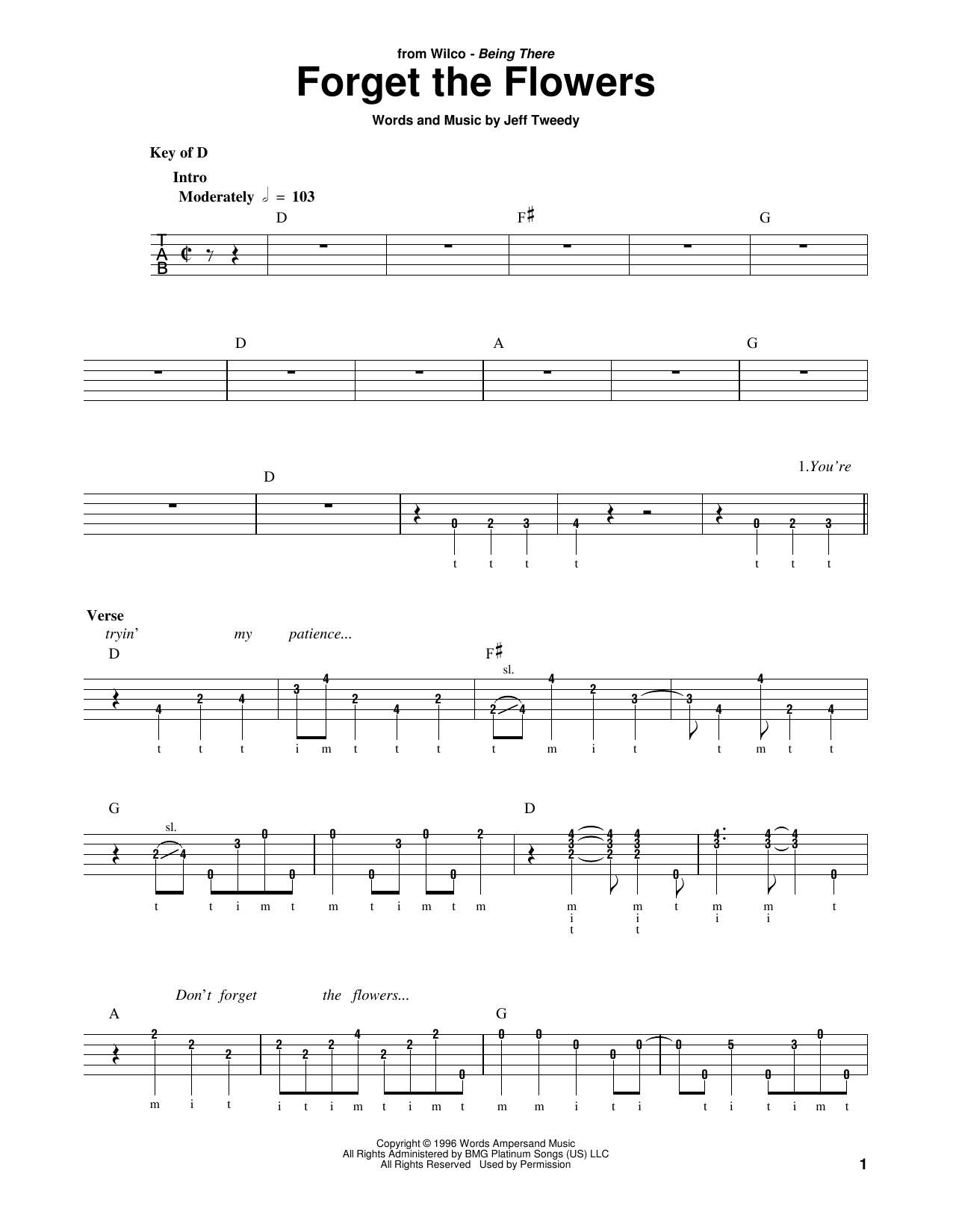 Download Wilco Forget The Flowers Sheet Music