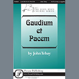 Download or print Gaudium Et Pacem Sheet Music Printable PDF 19-page score for Sacred / arranged SATB Choir SKU: 469777.