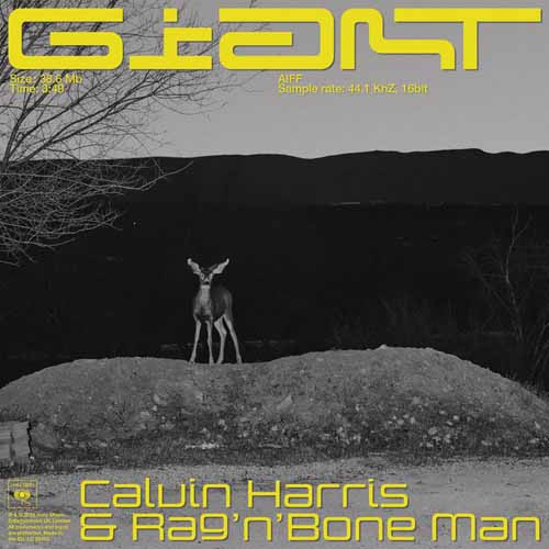 Calvin Harris & Rag'n'Bone Man image and pictorial