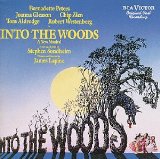Download or print Giants In The Sky (from Into The Woods) Sheet Music Printable PDF 8-page score for Musical/Show / arranged Piano & Vocal SKU: 75822.