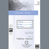 Download or print Glacier Suite Sheet Music Printable PDF 54-page score for Concert / arranged SSA Choir SKU: 441957.