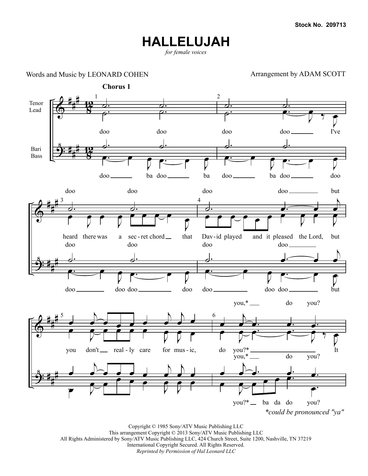 Download John Cale Hallelujah (arr. Adam Scott) Sheet Music