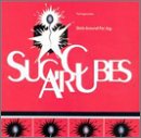The Sugarcubes image and pictorial