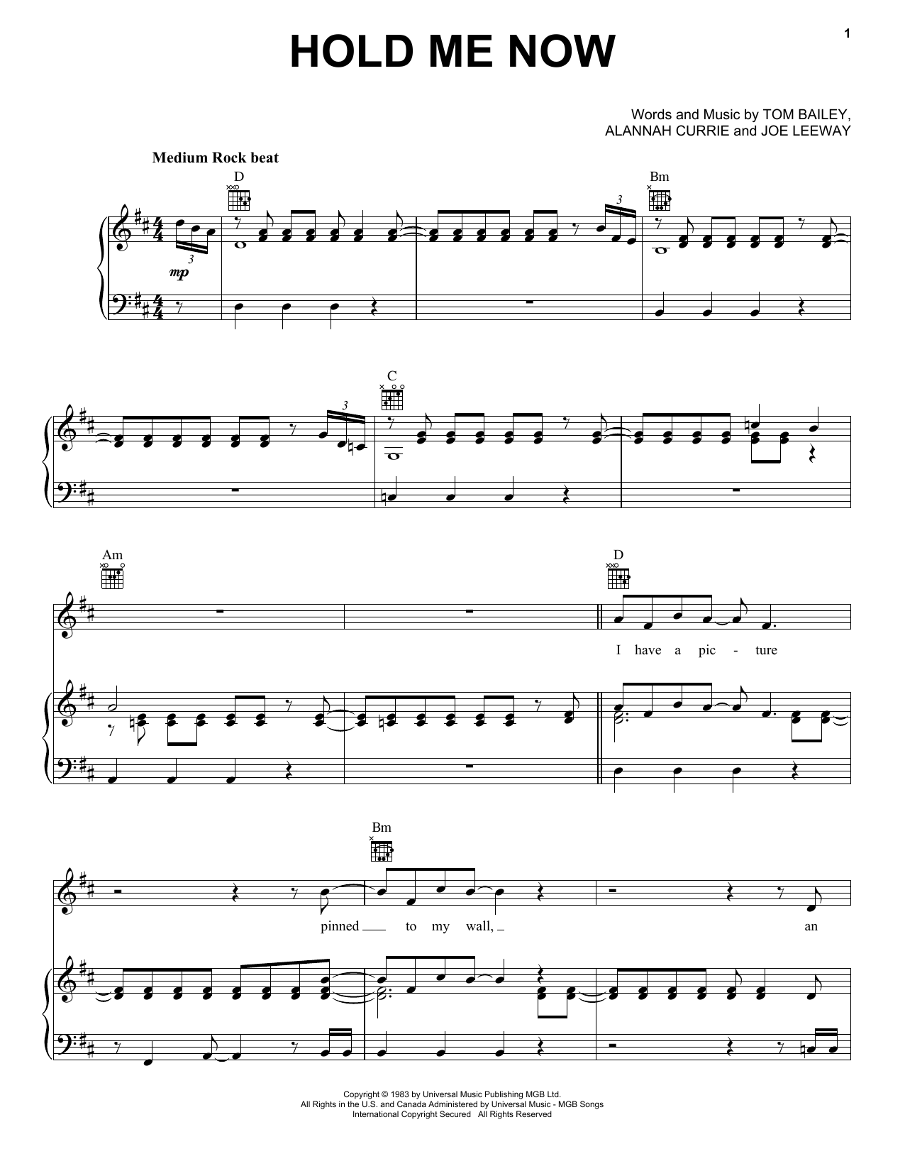 Download Thompson Twins Hold Me Now Sheet Music