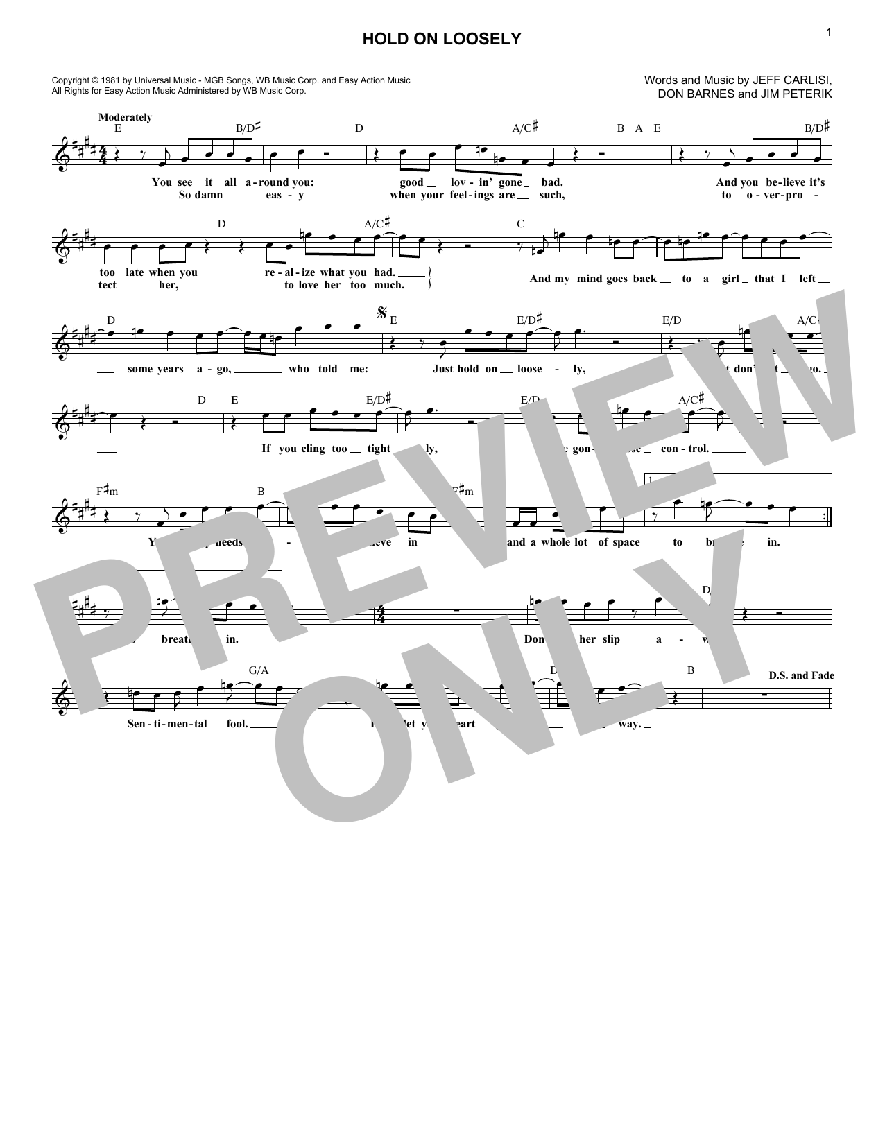 Download 38 Special Hold On Loosely Sheet Music